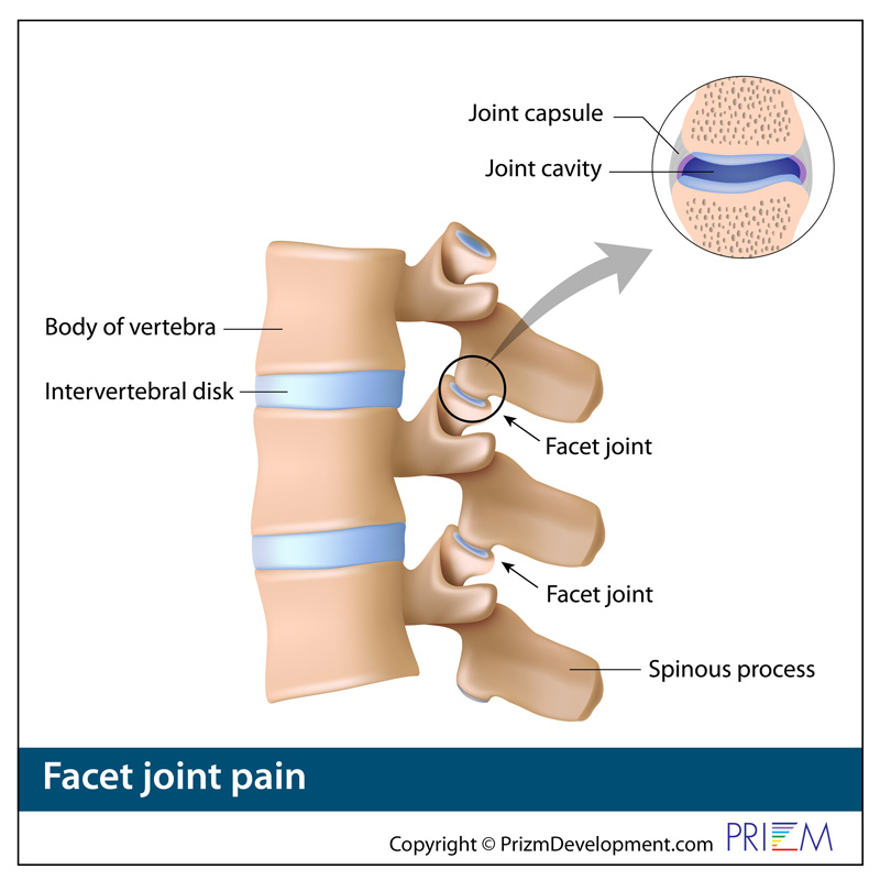 inferior articular facet