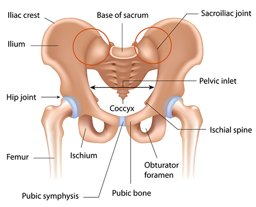 NewSouth NeuroSpine  Tailbone Pain: Overview, Causes, and Treatment